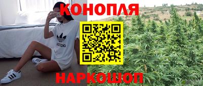 скорость Будённовск