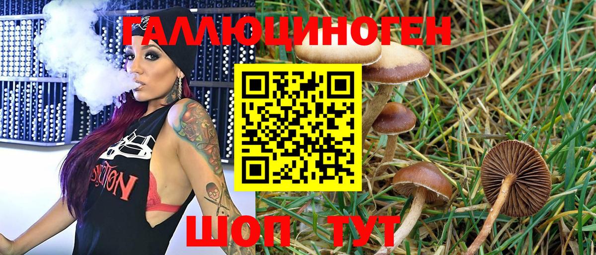 Псилоцибиновые грибы Psilocybine cubensis  Вход с VPN  Мирный  Галлюциногенные грибы мухоморы 