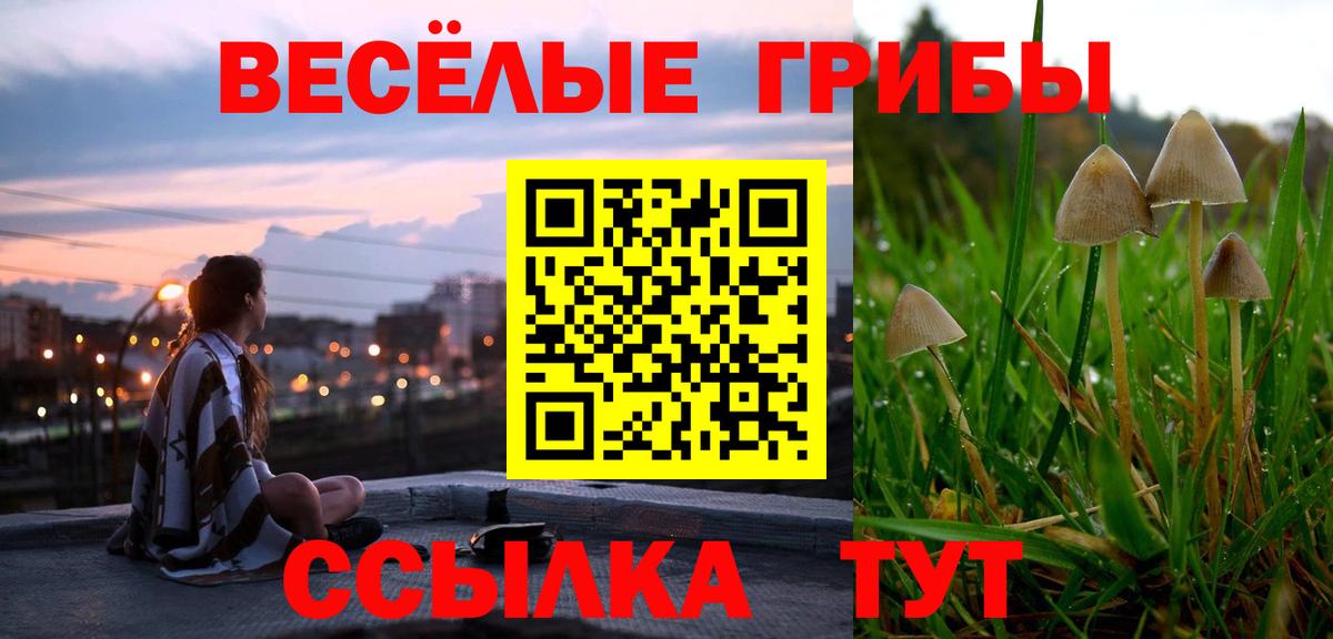 Псилоцибиновые грибы Psilocybine cubensis Мирный